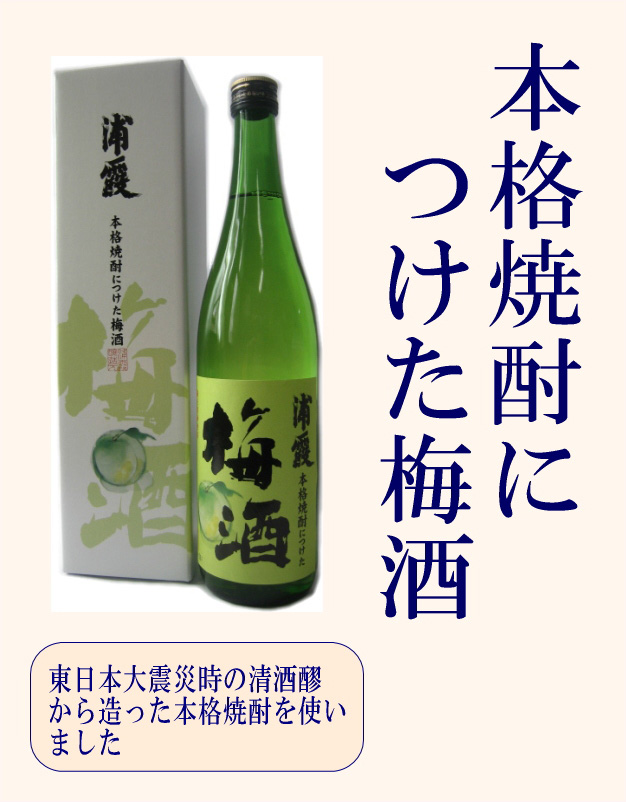 594円 魅了 浦霞の梅酒 純米原酒仕込み 720ml