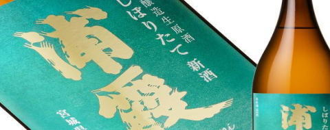 浦霞本醸造しぼりたて生 バナー